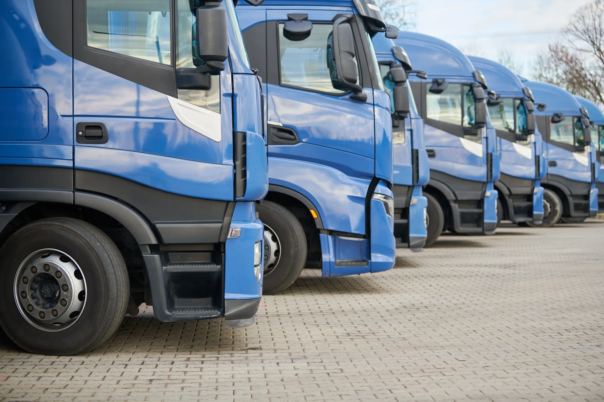 Transport Manager guides Transport Manager guides